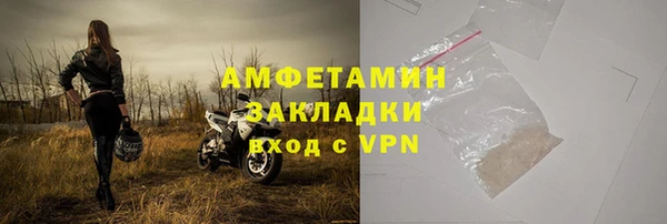 индика Михайловск