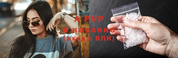 индика Михайловск
