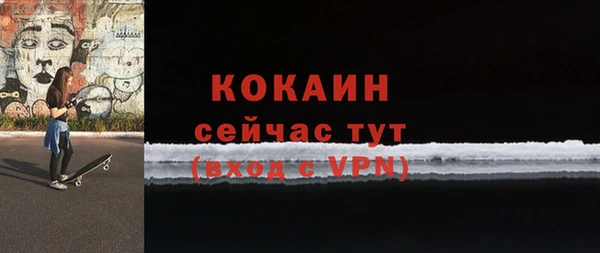 индика Михайловск