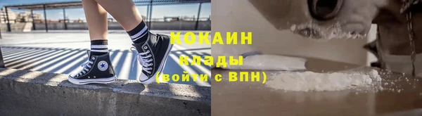 индика Михайловск