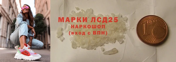 индика Михайловск