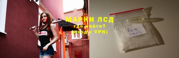 индика Михайловск
