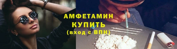 индика Михайловск