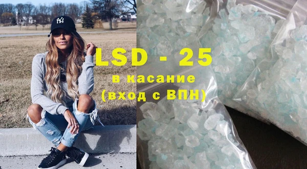 индика Михайловск