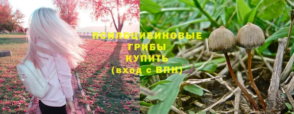 индика Михайловск