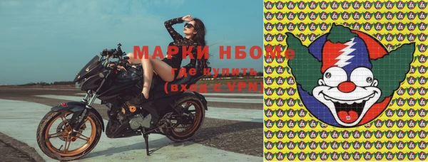 индика Михайловск