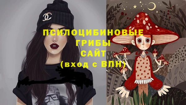 индика Михайловск