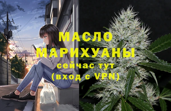 индика Михайловск