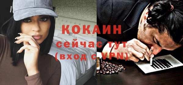 индика Михайловск