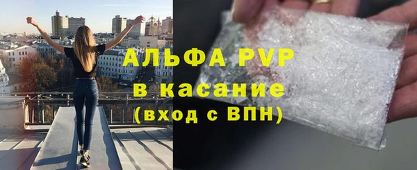индика Михайловск