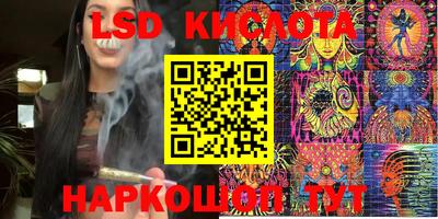 PSILOCYBIN Краснодар