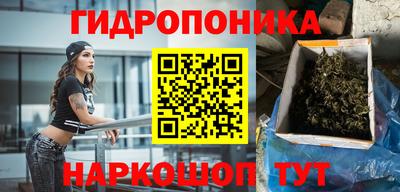 PSILOCYBIN Краснодар
