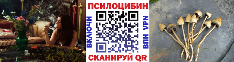 Галлюциногенные грибы Magic Shrooms  Шебекино 