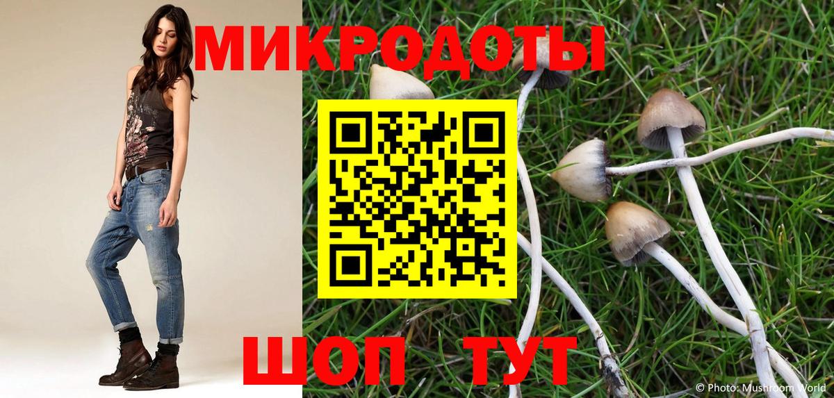 Псилоцибиновые грибы Psilocybine cubensis  Галлюциногенные грибы мухоморы  Вход с VPN  Шебекино 