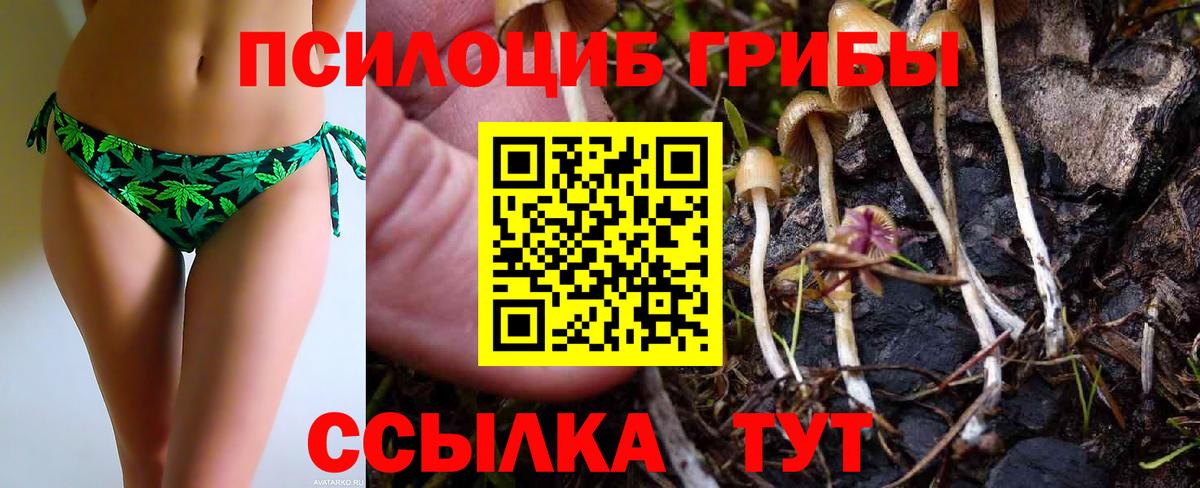 Галлюциногенные грибы прущие грибы Шебекино