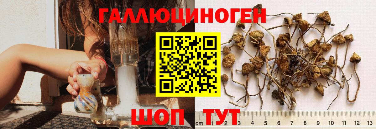 Галлюциногенные грибы GOLDEN TEACHER Шебекино